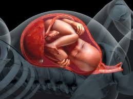 In the ninth month there will be a gain of around 2.5 pounds in body fat and an increase of 2 inches in height. How To Increase Amniotic Fluid During Pregnancy