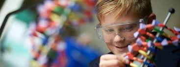 Assistant Headteacher