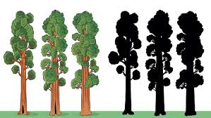 But when you know a tree, it takes only a glance to tell a sycamore from a weeping willow. Sequoia Tree Clipart Vector In Ai Svg Eps Or Psd