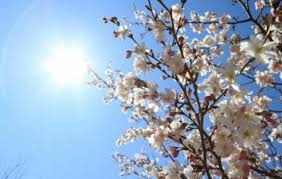 Teritoriul moldovei este traversat de un front atmosferic și așteptăm precipitații, dar cantitativ vor fi destul de slabe. Vremea In DamboviÈa Cum Va Fi De PaÈti