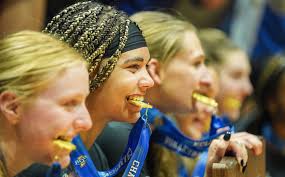 Indiana high school volleyball: IndyStar 2023 postseason Super Team