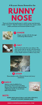 You can chew a few basil leaves every day to stop your runny nose soon. 4 Known Home Remedies For Runny Nose Visual Ly