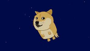 Over 11,500 doge posts sorted by time, relevancy, and popularity. Top 30 Good Doge Gifs Find The Best Gif On Gfycat
