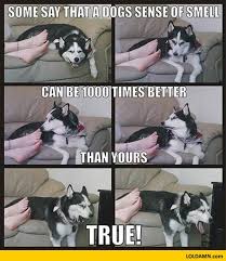 1 Best Friends A Boy And A Cow 2 There Is No Friend Zone In Art History 3 Some Dogs Are Unique 4 G Funny Animal Memes Funny Animal Jokes Funny Dog Memes