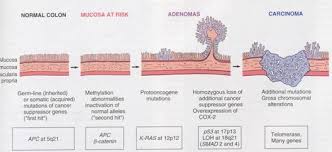 What Are The Similarities Between Benign And Malignant Tumors