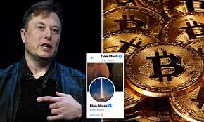 Elon i lost everything i have because i listened to you man. Elon Musk Causes The Price Of Bitcoin And Dogecoin To Soar After Twitter References Daily Mail Online
