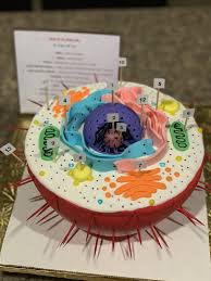 3d Animal Cell Project Moist Chocolate Cake With Brigadeiro Frosting And Covered In Ganache And F Animal Cell Project Animal Cell Model Project Cells Project