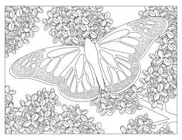 Parents may receive compensation when you click through and purchase from links contained on this website. Butterfly Coloring Page Stock Photos Royalty Free Images Depositphotos