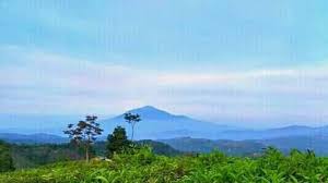 Bagi kalian yang selalu setia nongkrong di sini. Kebun Teh Knpi Cipasung Majalengka Posts Facebook