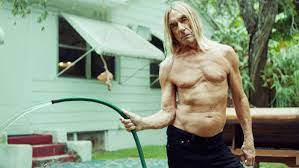 Zombie birdhouse by iggy pop audio cd $9.99. Iggy Pop Listens To The Black Madonna And Young Thug
