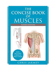 To open a pdf file you will need compatible software such as adobe reader. 3 Les Muscles