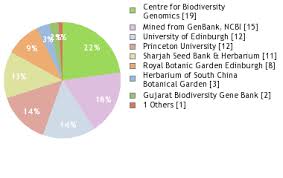 Image result for Launaea rarifolia