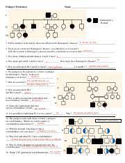 Chapter 5 review questions answer key. Pedigree Worksheet Fillable Pdf Pedigree Worksheet Aryana Pedreros Name 3 Period Date Interpreting A Human Pedigree Use The Pedigree Below To Answer Course Hero