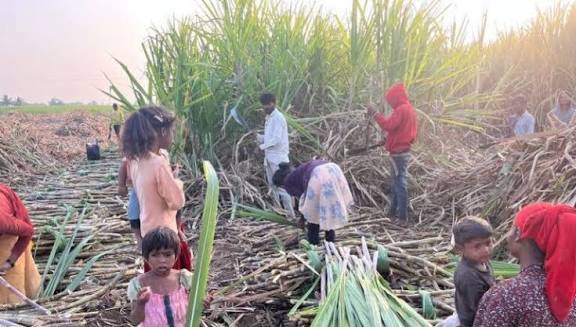 बीडमध्ये ऊसतोड कामगाराचे अपहरण