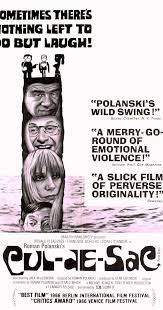 Transvaginal Us Showing Arrow Pointing To Free Fluid Surrounding The... |  Download Scientific Diagram