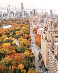 New York City On Instagram I Couldn T Imagine Manhattan Without Central Park While Inside It S Easy To Forget You Re In The Middle Of Such A Chaotic Place