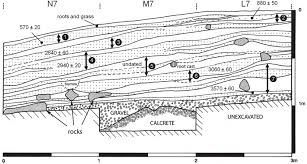 Maybe you would like to learn more about one of these? 3 Stratigraphy At Pancho S Kitchen Midden And Associated Radiocarbon Download Scientific Diagram
