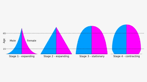Economy added a minimum of 56,000 jobs (february 2019) and a maximum of 312,000 jobs (january 2019). 4 Types Of Population Pyramids Pdf Hd Png Download Transparent Png Image Pngitem