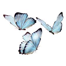 Pin By Besha On All Decorations For Intro Video S And Drowning Fly Drawing Graphic Design Photoshop Butterfly