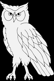Gambar tersebut bisa anda unduh langsung, caranya silahkan klik. Owls Gambar Burung Hantu Hitam Putih Hd Png Download Original Size Png Image Pngjoy