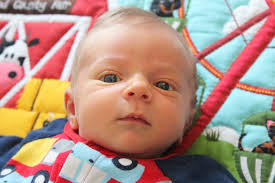 Serving in France: Caleb Bradley Graber