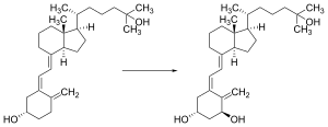 Vitamin D Wikipedia