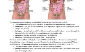 That means that they can know where organs. Full Size Picture Abdominal Quadrants Jpg Mtla Schule Cute766