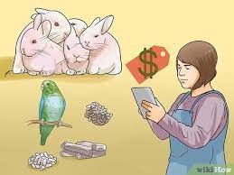 How To Start A Pet Shop (With Pictures) - Wikihow