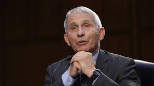 Man pleads guilty to sending threatening emails to Dr. Fauci