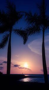 Free download 640x1136 wallpapers and backgrounds. 18 Breathtaking Sunset Wallpapers For Your Iphone