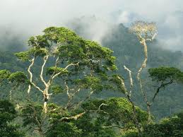 The 40 Most Beautiful Countries In The World World Heritage Sites Darien National Park Countries Of The World