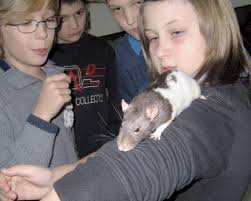 Abteilung für Museumspädagogik