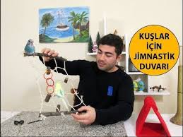Kuslar Icin Jimnastik Duvari Yapimi Jimnastik Kus Duvar