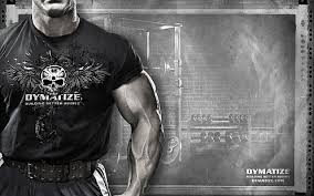 Andy haman trains arms at metroflex gym with the chains and some circus. Hd Wallpaper Dymatize Illustration Sport Muscle Sportpit Andy Haman Wallpaper Flare