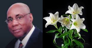 Lawrence Underwood Jr., furniture sales leader, dies at 79