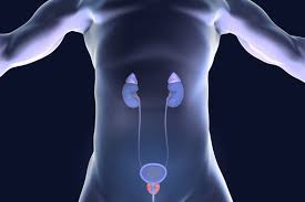 When symptoms do occur, they can be like those of an enlarged prostate or bph. Prostate Cancer The Major Signs And Symptoms Of The Cancer Express Co Uk