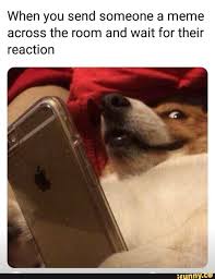 When You Send Someone A Meme Across The Room And Wait For Their Reaction Ifunny Funny Relatable Memes Stupid Funny Memes Funny Memes