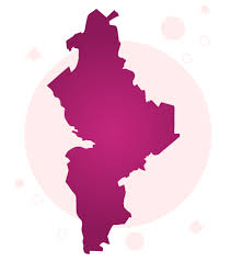 En el marco de la consulta popular que se realizará este domingo en varios estados de méxico; Nuevo Leon Instituto Nacional Electoral