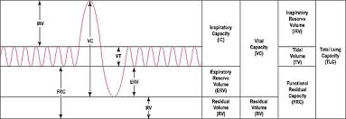 Spirometry Wikipedia