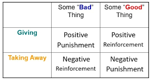 Module 6 Operant Conditioning Principles Of Learning And