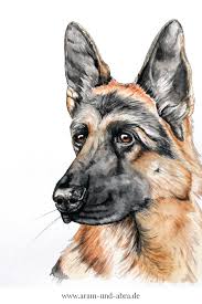 Das entspricht einer kundenzufriedenheit von 97,56 %. Illustrationen Und Portraits Hund Malen Lassen Portfolio Aram Und Abra Hund Malen Hund Illustration Hundekunst