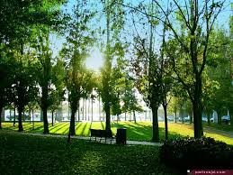 Nature Wallpapers