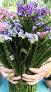 Most gardeners, both novice and experienced, are quite familiar with these cheerful yellow and orange blooms. Pin On Wedding Flowers
