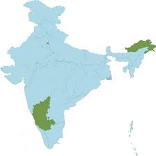 Image result for Secamone retusa