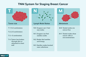 One in seven men in the united states will receive a prostate cancer diagnosis during his lifetime. Stage 1 Breast Cancer Diagnosis Treatments And Prognosis
