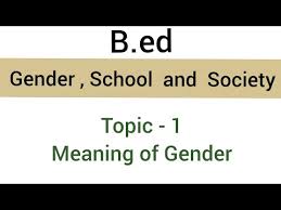 Meaning Of Gender Topic 1 Gender School Society B Ed Youtube