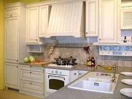 Pictures Of Kitchens Traditional Whitewashed Cabinets Kitchen Appliances Design Kitchen Design Kitchen Cabinets For Sale