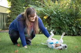 Let our adoption program help you find your next best friend. Ywca Spokane S Safe Shelter Welcomes Pets Ywca Spokane