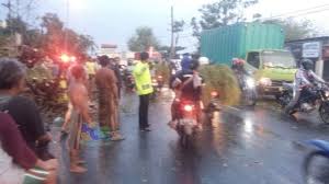 Convert 1 polish zloty to israeli shekel. Pohon Tumbang Di Jalan Raya Kalitidu Bojonegoro Sempat Bikin Arus Lau Lintas Macet Kumparan Com