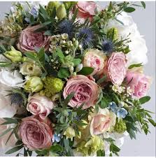 Check spelling or type a new query. Wholesale Florist Wholesale Flowers Wholesale Florist Florist